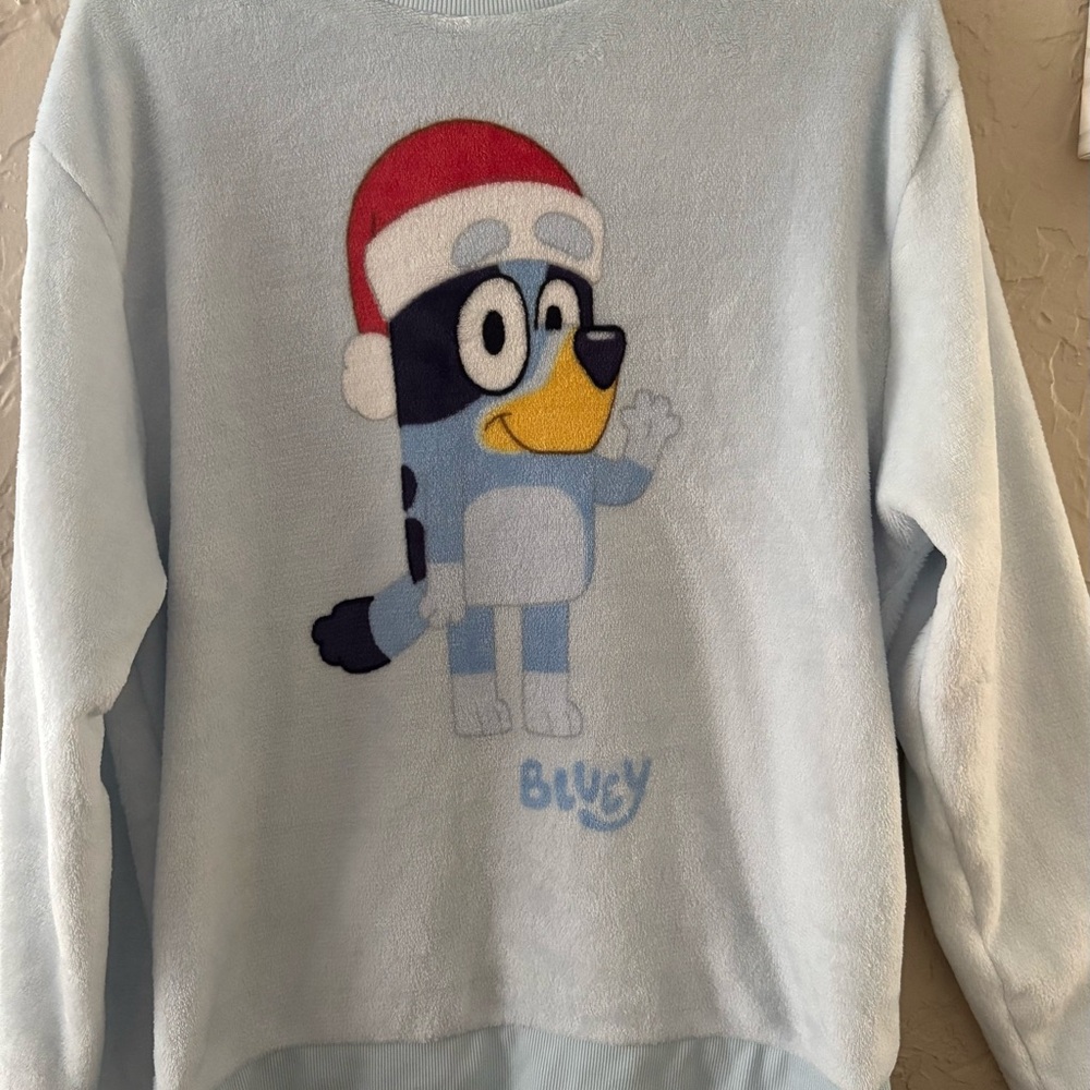 Bluey Women’s Character Sweatshirt Size XL